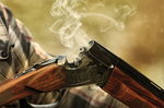12 Gun