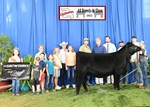 2022 MCA Junior Show 4th Overall Heifer Cealy Bedwell 