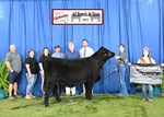 2022 MCA Junior Show 5th Overall Heifer Ellie Dill 