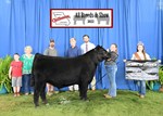 2022 MCA Junior Show 5th Overall Market Animal atley Patrick 