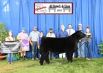 2022 MCA Junior Show Grand Markey Animal Scout Van Genderen