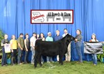 2022 MCA Junior Show Reserve Overall Heifer Kennedy Early 