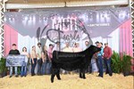 3rd-champion-heifer