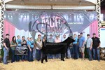 4th-champion-heifer.