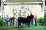 4th steer