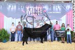 5th-champion-bull