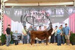 5th-champion-heifer