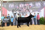 5th-champion-market-animal
