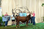 5th overall bull