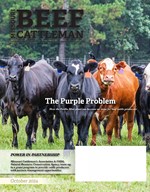 Oct Cover