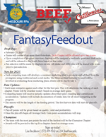 Fantasy Feedout p2