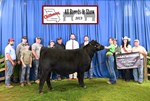 2023 4th Overall Heifer