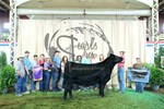 grand heifer