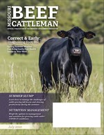 July 2020 Cover