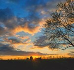 landscape-junior-div-2024