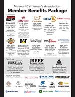 member benefits 24