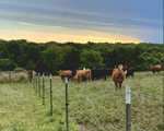 2022 MCA Photo Contest Overall Winner, Zane Witte - Summer Sunset