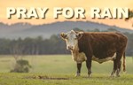 PRAY FOR RAIN