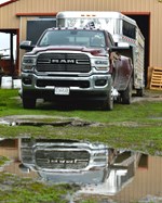 Reflections