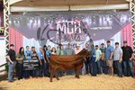 reserve-champion-heifer