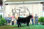 reserve steer