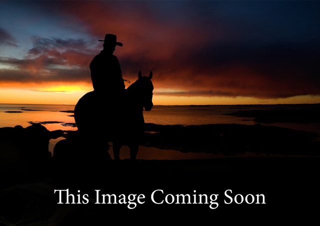 this-image-coming-soon.jpg Image Coming Soon